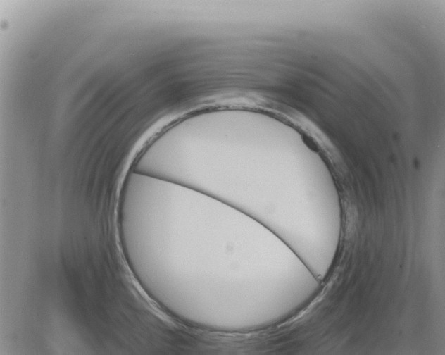 X0000080681240200612301417