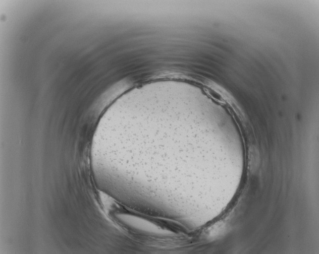 X0000080681241200612301417