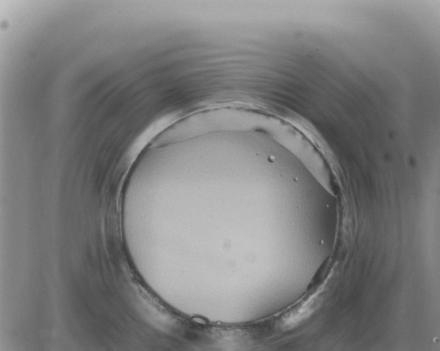 X0000080681242200612301417