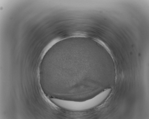 X0000080681243200612301417