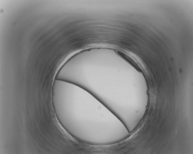 X0000080681244200612301417