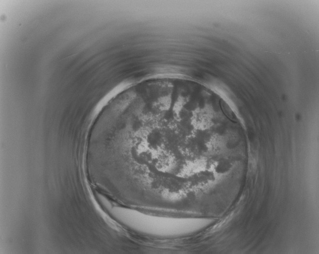 X0000080681245200612301417