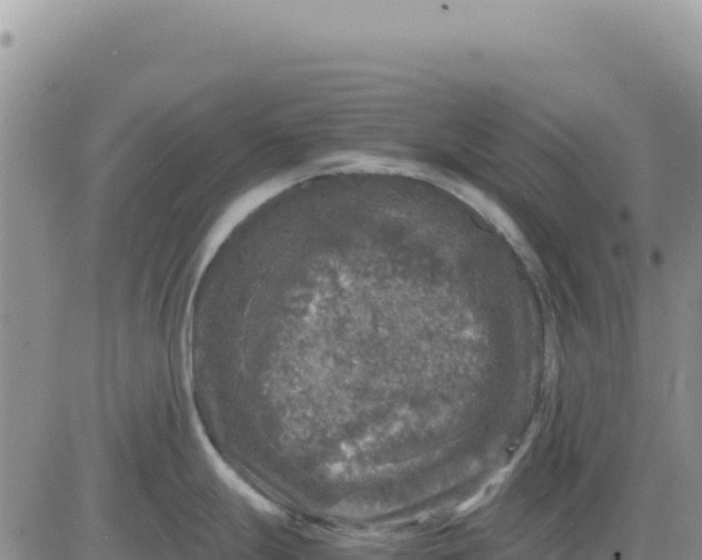 X0000080681247200612301417