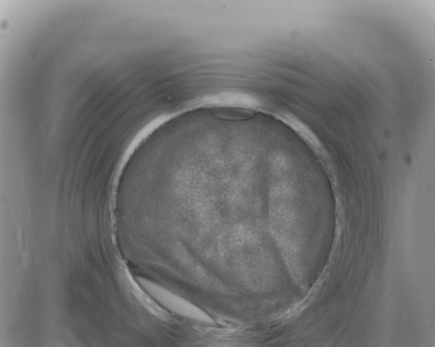 X0000080681248200612301417