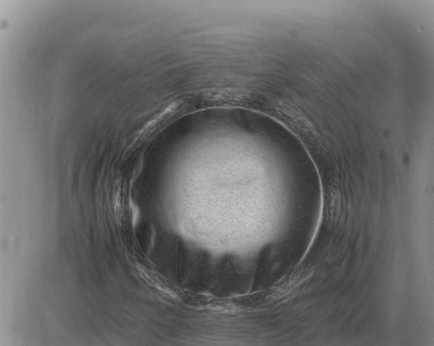 X0000080681250200612301416