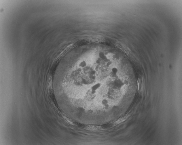 X0000080681251200612301416