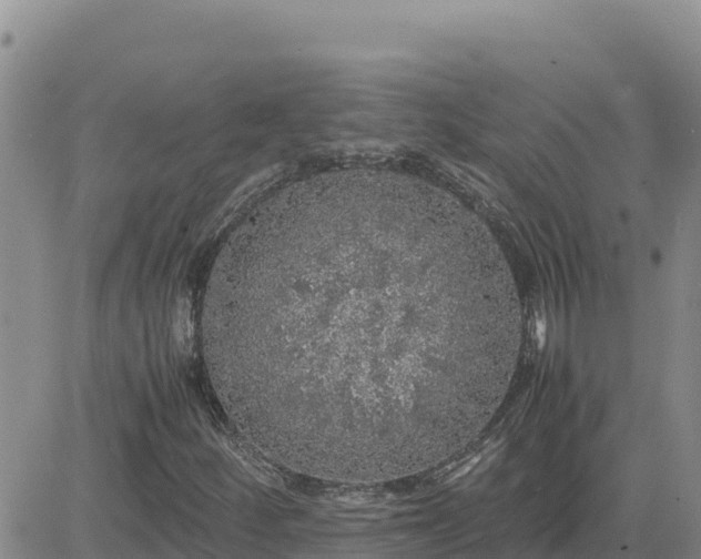 X0000080681252200612301416