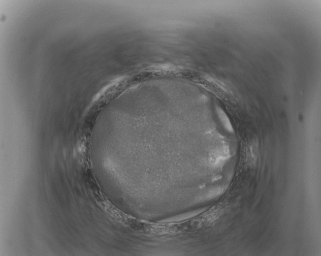 X0000080681254200612301416