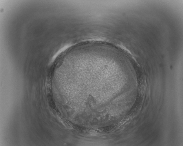 X0000080681255200612301416