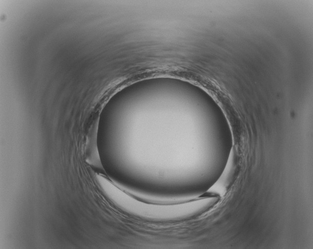 X0000080681257200612301416