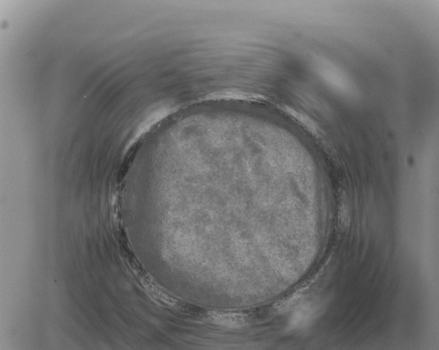 X0000080681258200612301416