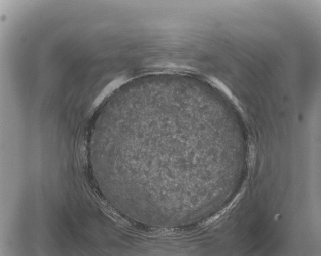 X0000080681259200612301416