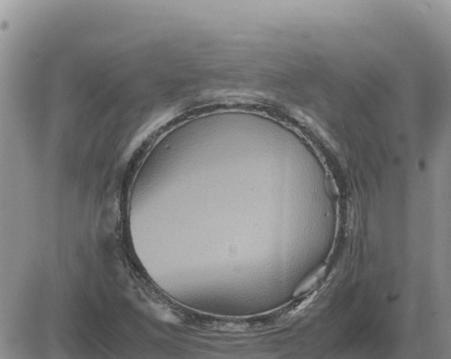 X0000080681261200612301416