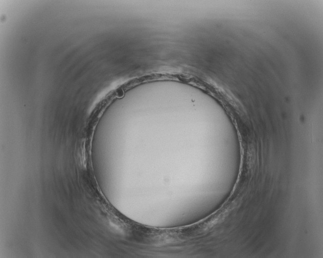 X0000080681262200612301416