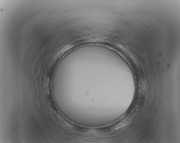 X0000080681265200612301416