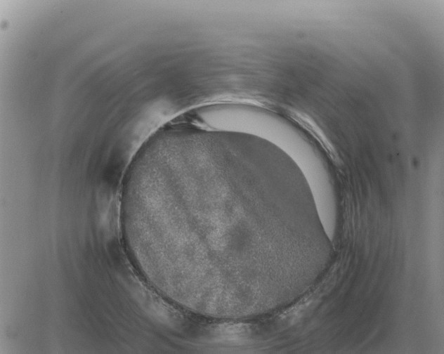 X0000080681268200612301416