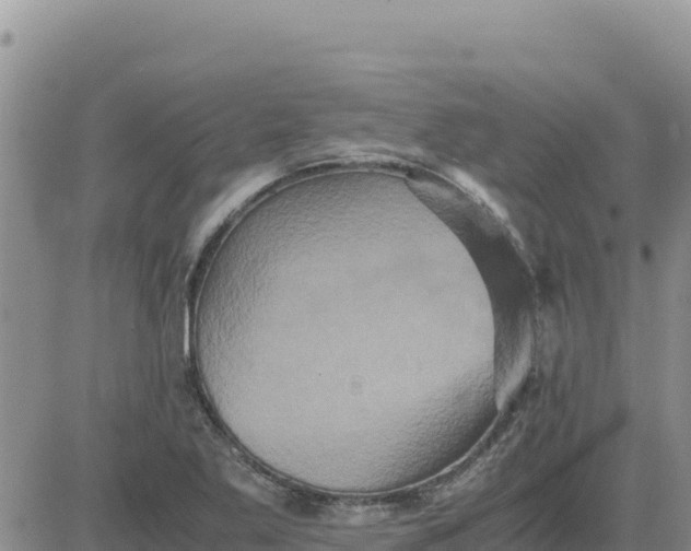 X0000080681269200612301416