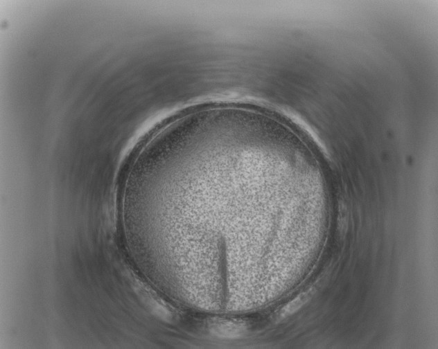 X0000080681270200612301416