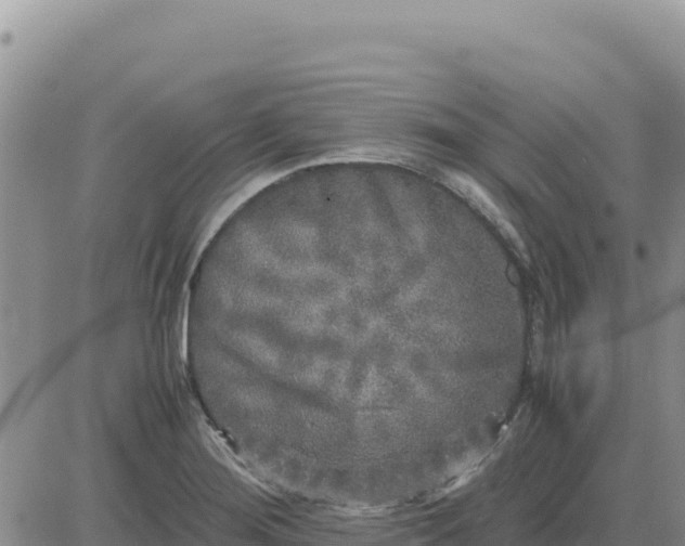 X0000080681276200612301416