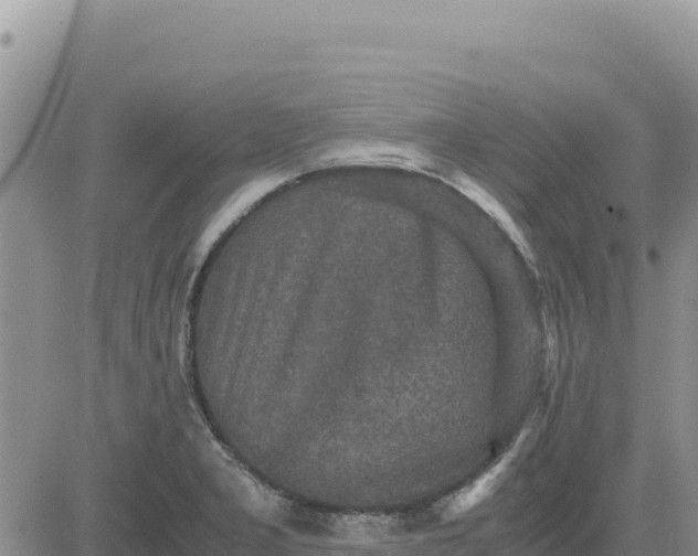 X0000080681277200612301416