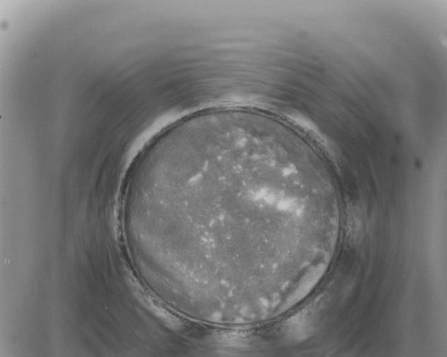 X0000080681278200612301416