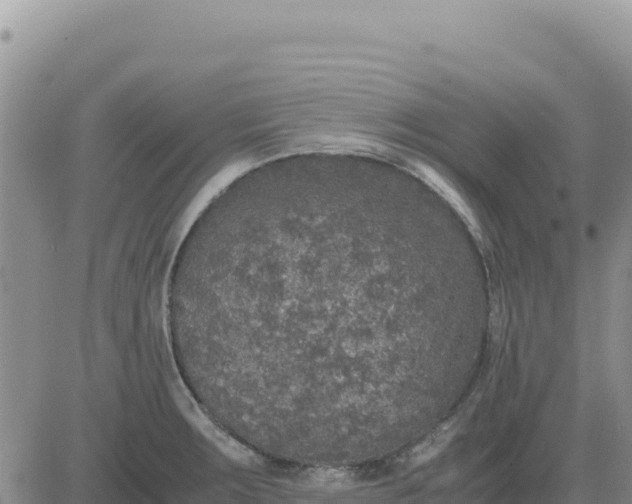 X0000080681283200612301415