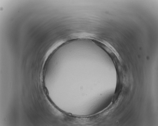 X0000080681285200612301415