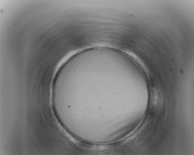 X0000080681286200612301415