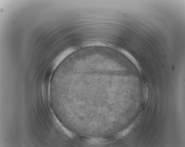 X0000080681290200612301415