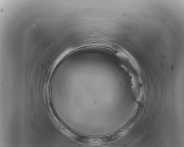 X0000080681291200612301415