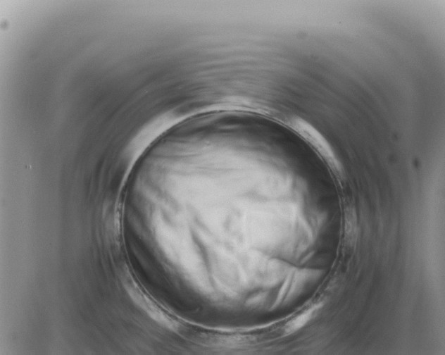 X0000080681292200612301415