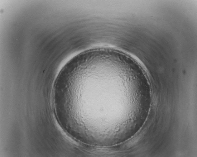 X0000080681295200612301415