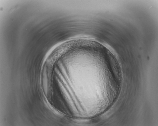 X0000080681296200612301415