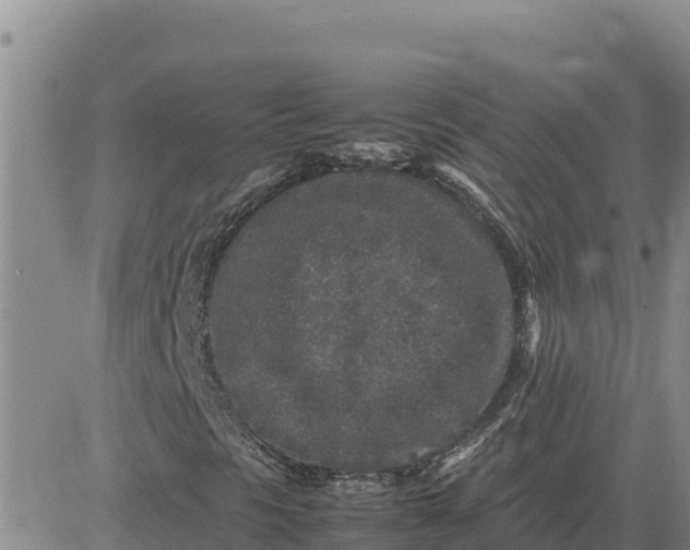 X0000080681297200612301415