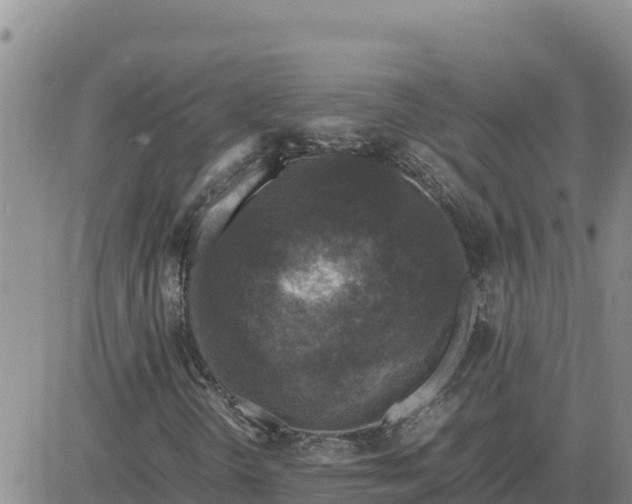 X0000080681298200612301415