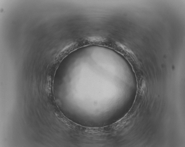 X0000080681301200612301415