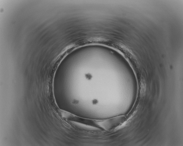 X0000080681305200612301415