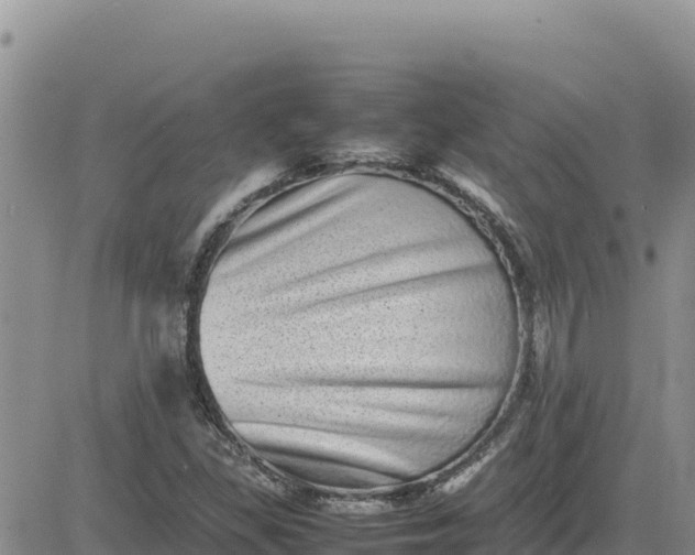 X0000080681309200612301415