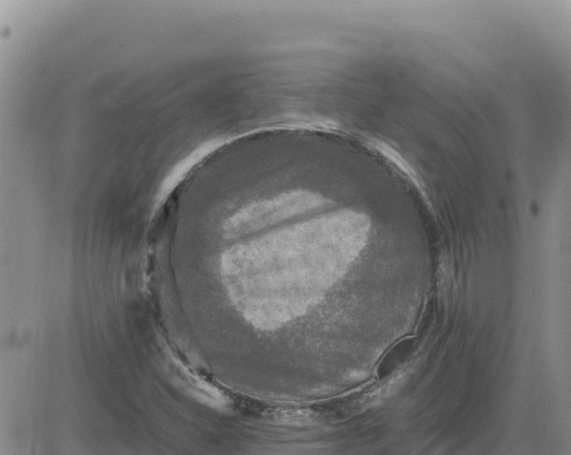 X0000080681310200612301415