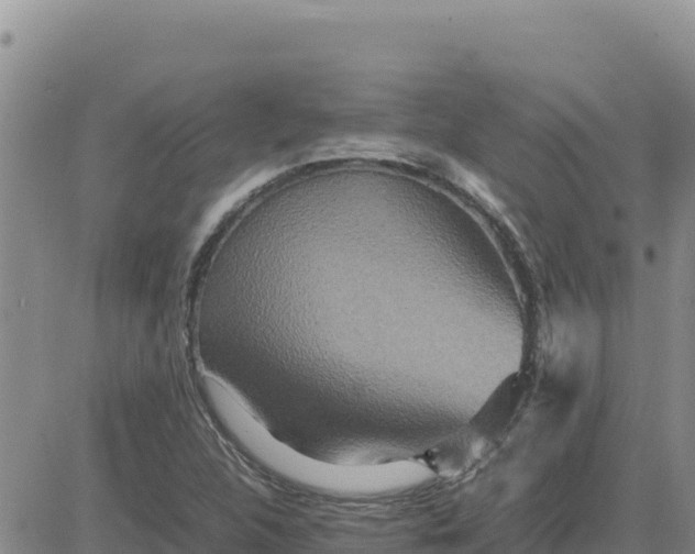 X0000080681312200612301415