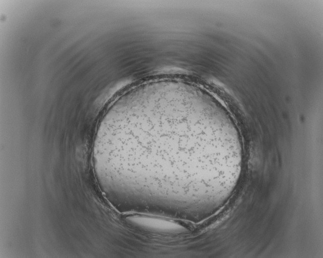 X0000080681313200612301415