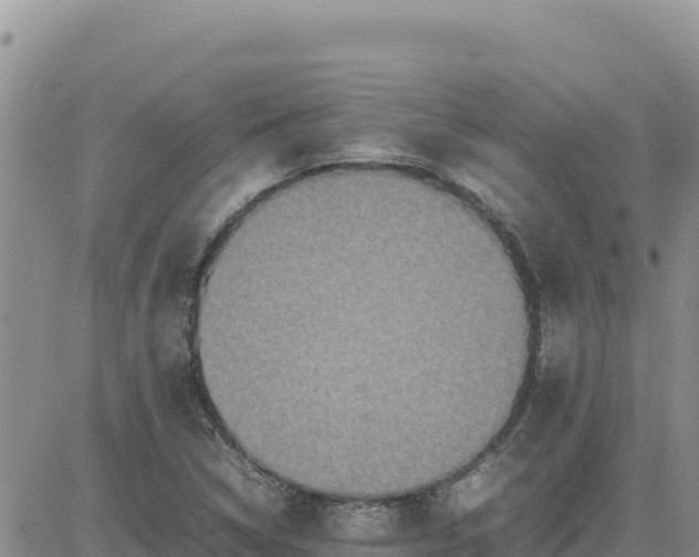 X0000080681314200612301415