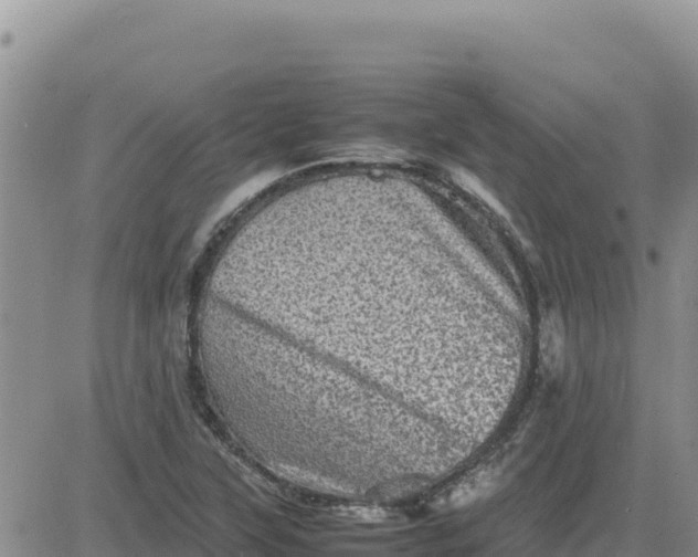 X0000080681315200612301415