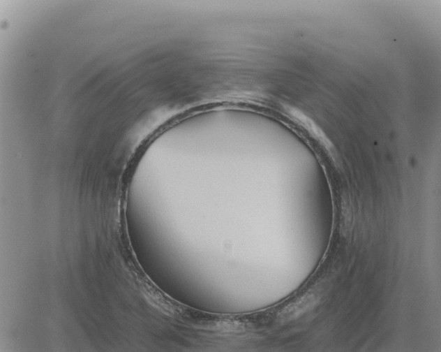 X0000080681316200612301415