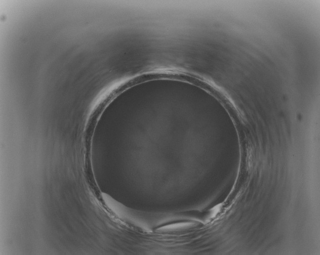 X0000080681319200612301415