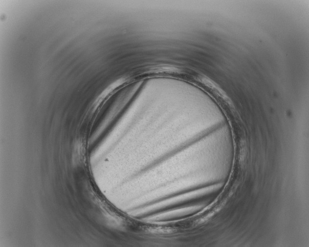 X0000080681321200612301415