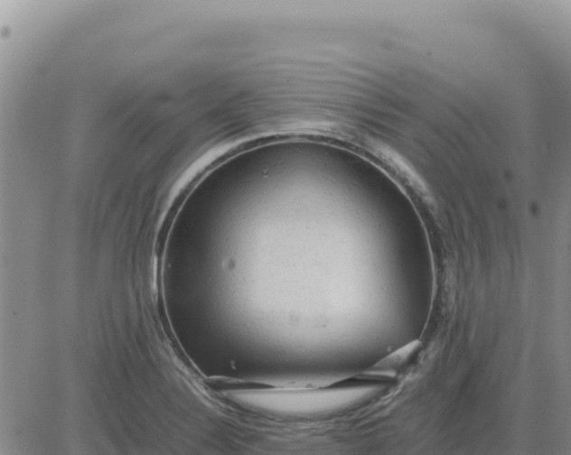 X0000080681324200612301415