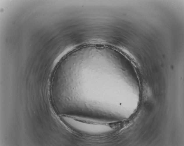 X0000080681325200612301415