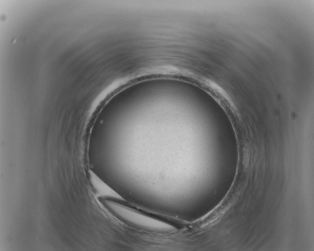 X0000080681326200612301415