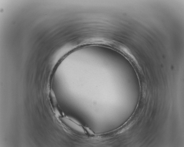 X0000080681328200612301415